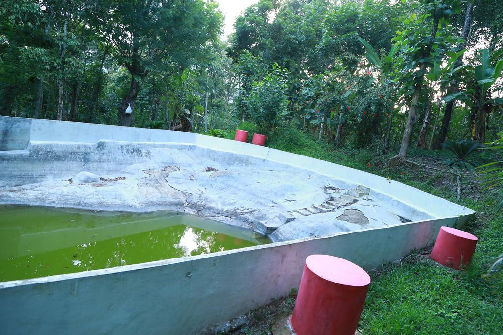Philip Mary Farm Stay Thekkady Dış mekan fotoğraf