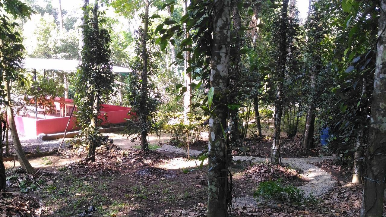 Philip Mary Farm Stay Thekkady Dış mekan fotoğraf