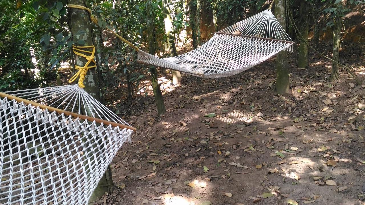 Philip Mary Farm Stay Thekkady Dış mekan fotoğraf