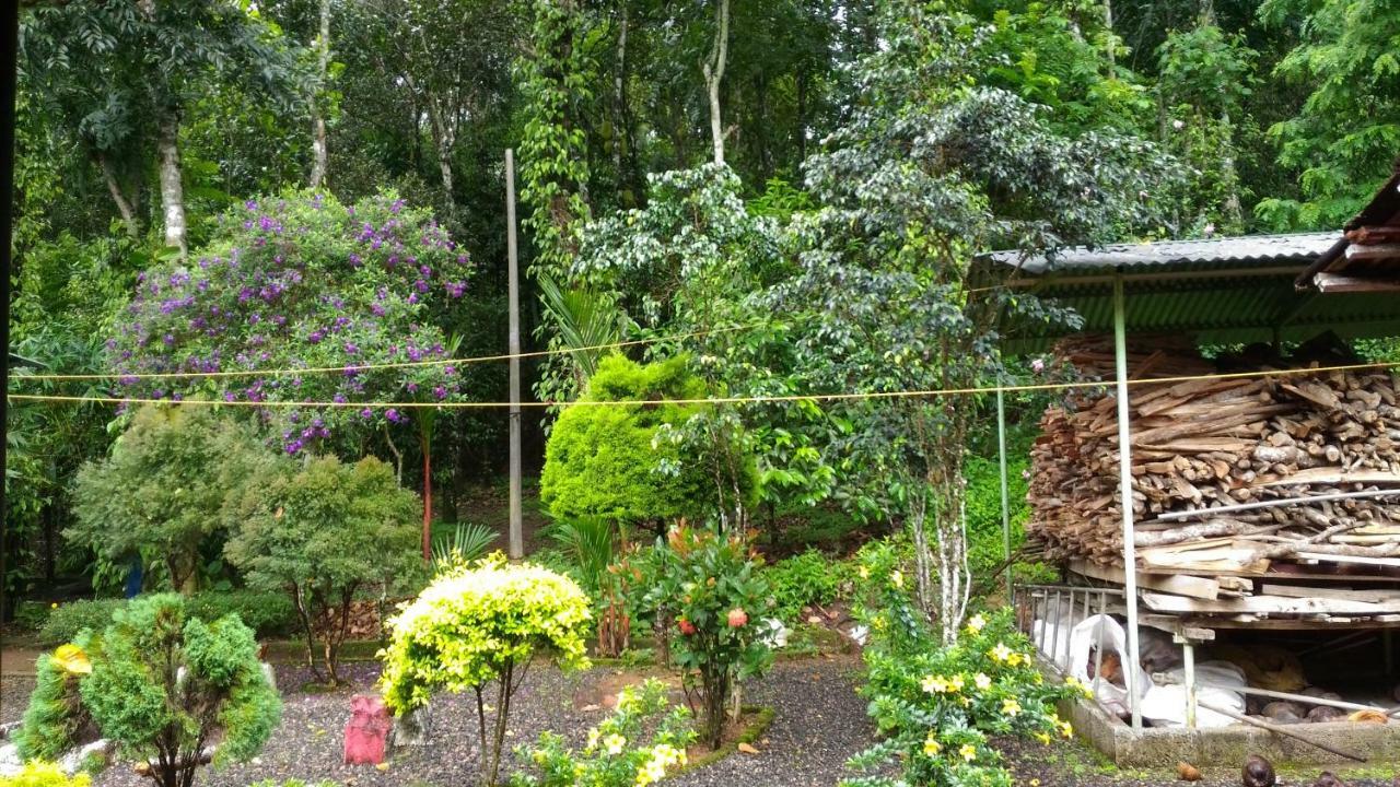 Philip Mary Farm Stay Thekkady Dış mekan fotoğraf