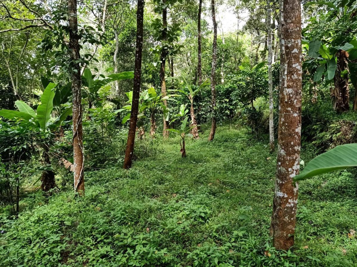 Philip Mary Farm Stay Thekkady Dış mekan fotoğraf